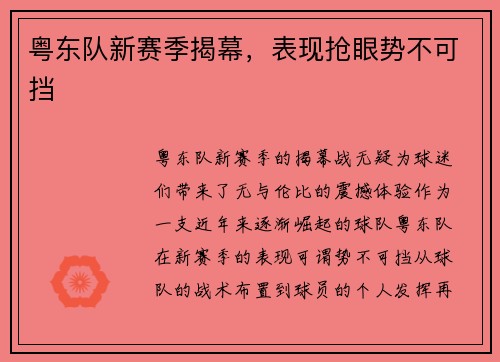 粤东队新赛季揭幕，表现抢眼势不可挡